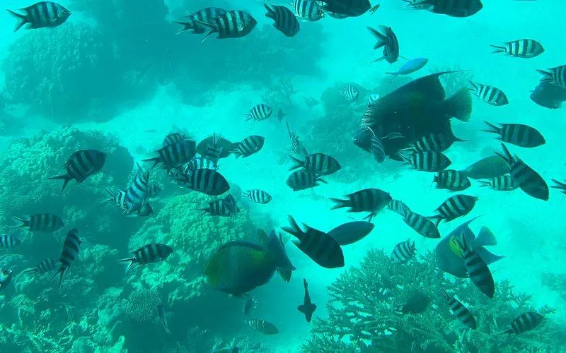 WhatsApp Image 2026-04-12 at 11.09.43 (3).webp